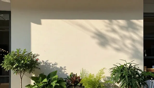 搜索优化中关键词密度的应用与限制